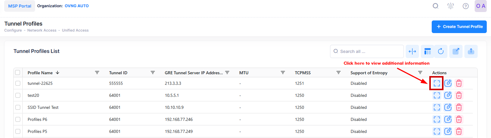 Tunnel Profiles-view add info - OmniVista Cirrus 10.5.1-20250520-101228.png