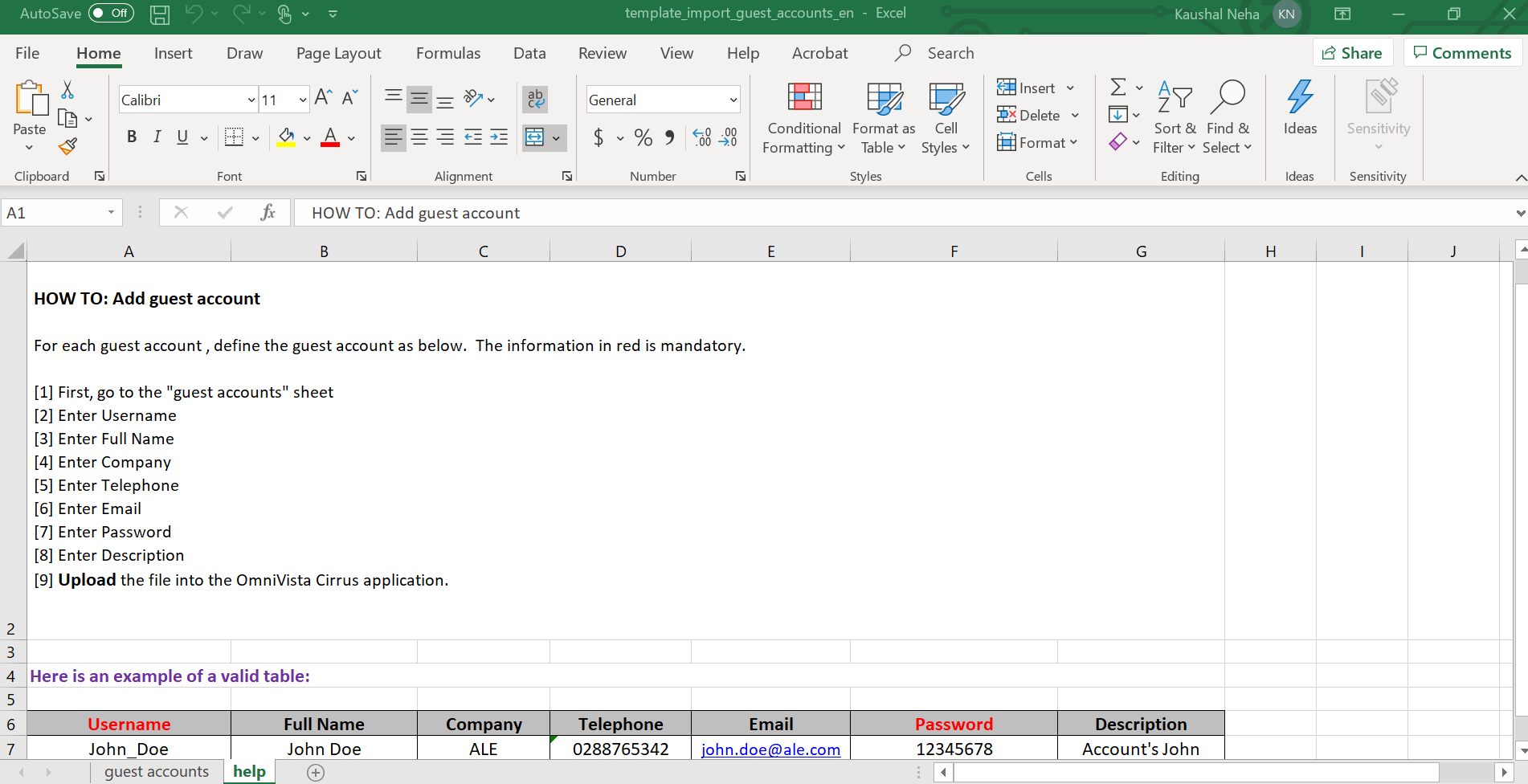 template_import_guest_accounts_en - Excel OV 10.3-20230323-033535.png